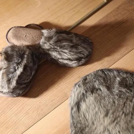 Blanc 샬레 브루일서비니아